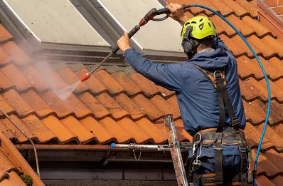 Démoussage et hydrofuge de toiture à la Balme-de-Thuy